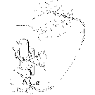 09E01 COLD START - NHNA ONLY (9-93/9-97)