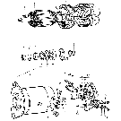 11F01 GENERATOR