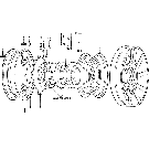 01B01 REAR WHEELS, GAS, DIESEL & VAPOR (1-52/12-64)