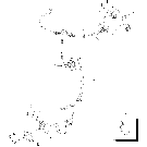 04-23 HARNESS - ISO IMPLEMENT