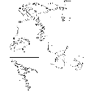 09B02 EMISSIONIZED ENGINE, FUEL SYSTEM