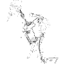 01 -04 PICTORIAL INDEX - AXLE LUBRICATION CIRCUIT, BSN RVS001801