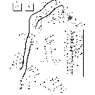 03-03 FUEL LINES