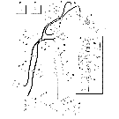 03 -04 FUEL LINES