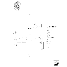 0.14.0/  E(02) FUEL SYSTEM - INJECTOR - BEFORE ENGINE S/N 776978