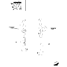 0.06.0(03) CYLINDER HEAD, ROCKER ARM, VALVES & RELATED PARTS - C4906