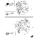 0.02.1 ENGINE