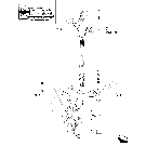 1.26.5(02) P.T.O. ENGAGEMENT CLUTCH