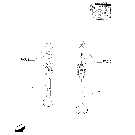 0.06.0/ 1(04) CYLINDER HEAD, ROCKER ARM, VALVES & RELATED PARTS - C4906