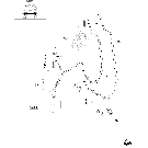 1.42.0/02 (VAR.097) FIXED DELIVERY PUMP FOR 16X16 GEARBOX - POWER STEERING PIPES