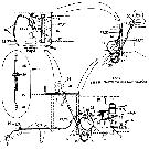 068 MULTI-LUBER SYSTEM, 290