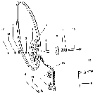 031 AUGER & PICK-UP DRIVEN ASSEMBLY