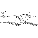 E09.B(02) PARTS FOR SANDY SOILS