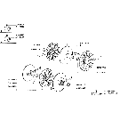 D03.1 DRUM VARIATOR (COMPONENTS)