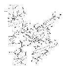 05J02 THREE POINT LINKAGE (87/7-92)