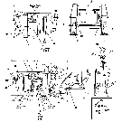 11A09 WIRING HARNESS, ASIA-PACIFIC