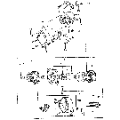 11C03 ALTERNATOR - 1910, 2110