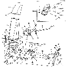 004 CHUTES & RELATED PARTS - 19BV9102, 9606786