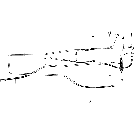 013 HYDRAULIC ATTCHMENTS - 19-118