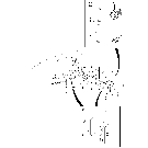 08 -02 HYDRAULICS - AUXILIARY 3RD FUNCTION