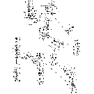 021 GATHERING CHAIN - 646