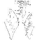 018 GENERAL PURPOSE BOTTOM, FOR TWO-WAY PLOW - 10-85,10-86 FOR 10-14,10-198
