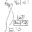 011 EXTRA EQUIPMENT, WEED HOOK ASSEMBLY - 10-1,10-1A,10-2,10-8,10-10, 10-14,10-16,10-16A,10-17