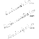 013 HYDRAULIC CYLINDERS