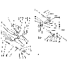 004 MAIN DRIVE IDLER PULLEYS