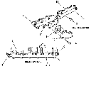 041 MANIFOLDS, BSN 546804 (1078), BSN 548619 (1079)