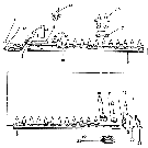 009 CUTTER BAR AND RELATED PARTS