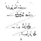 005 PTO, 156 & 162