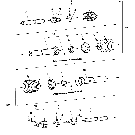 01.01(1) PTO, PRIOR TO 1/04