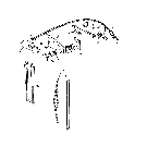 18.21 WINDSHIELD WIPER KIT