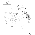 09.02(5) ACCUMULATOR, SURGE DAMPENING