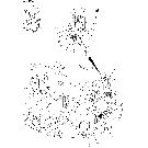 05-005 FUEL LINES (COOLER)