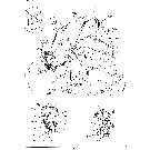 05-011 CONTROL LINES, PROPEL (NIBBLER & BREAKER + TRAVEL ALARM)