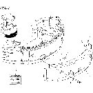 05-001 COUNTERWEIGHT ASSY (GAIN)