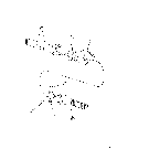 06 -05 AXLE, FRONT DRIVE - SHAFTS, AXLE