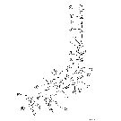 06 -16 TRANSMISSION ASSY - SHIFTER MECHANISM