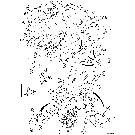 08 -04 HYDRAULICS - CYLINDER, LOADER BUCKET