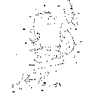 002 ELECTRONIC SCALE, WEIGHTRONICS