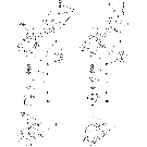 12.040.1 DRY BOOM TRIPLE NOZZLE ASSEMBLY