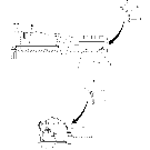 02.04 HEATER HOSE