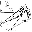 002 HITCH ASSEMBLY - 22-47,22-60,22-70,22-112