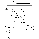 027 DISC OPENER, ATTACHMENT, 121128