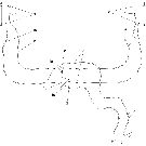 2.060.1 DEPTH CONTROL HYDRAULICS (3 AND 5 SECTION)