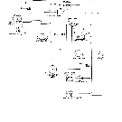 023 ELECTRICAL SCHEMATIC, L/LOADER RESTRAINT SYSTEM, L250 ONLY