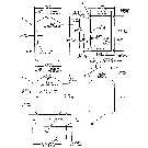 008 WINDOW GLASS DIMENSIONS